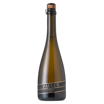 Paulus Brut