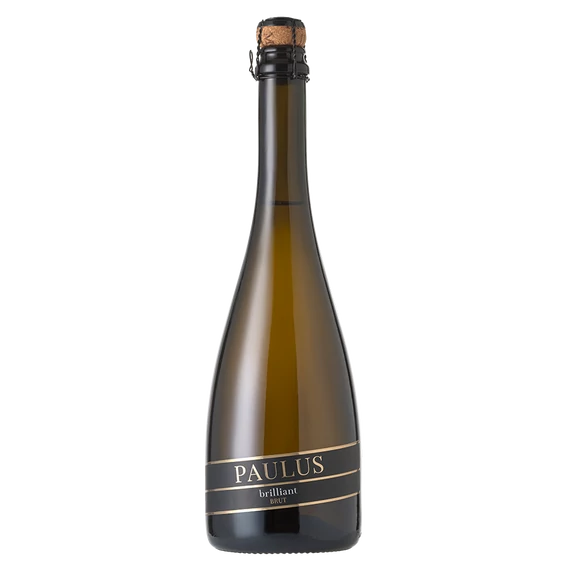 Paulus Brut
